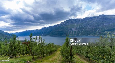 Hiking The Famous Dronningstien From Kinsarvik The Hardangervidda