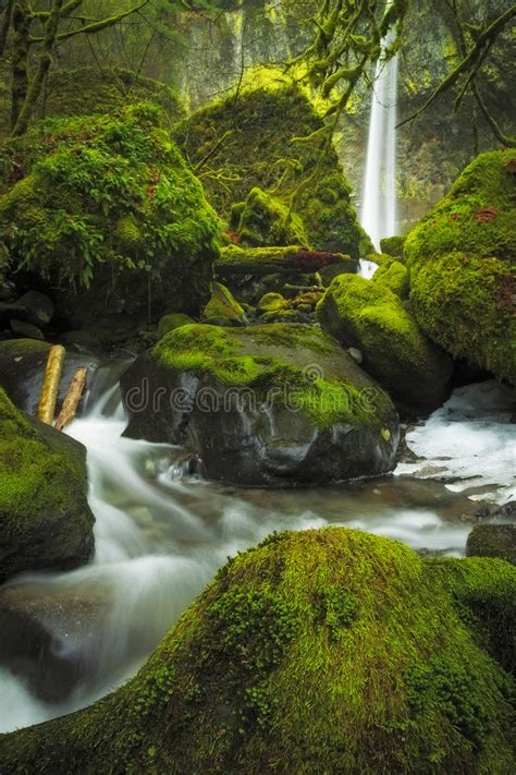 Elowah Falls Columbia Gorge Oregon Stock Photo Image Of Columbia