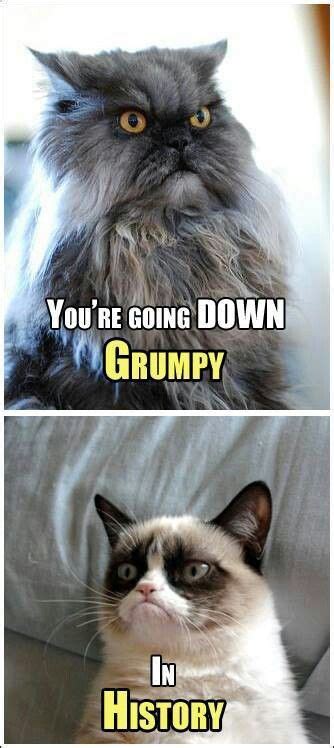 Youre Going Down Grumpy In History Funny Grumpy Cat Memes Grumpy