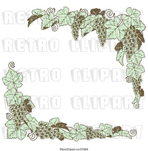 Vector Clip Art Of Retro Green Grape Vine Corner Borders