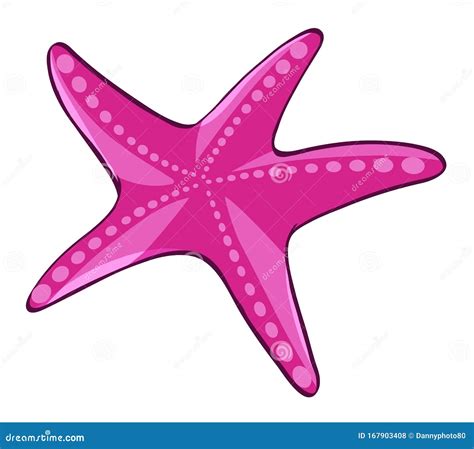 Pink Starfish On White Background Stock Vector Illustration Of Fish