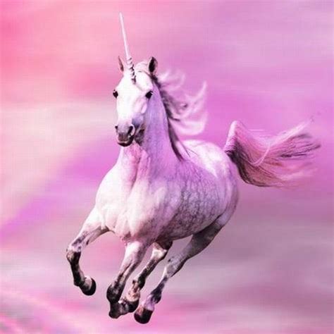 Rainbow Unicorn Wallpapers Hd Cool Pony Horses Apprecs