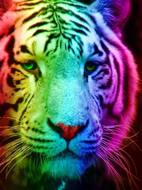 Rainbow Tiger 1 By Tomboytigress On Deviantart