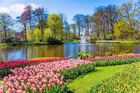 7 Things to Do in Amsterdam in Spring - Spring Holidays in Amsterdam ...