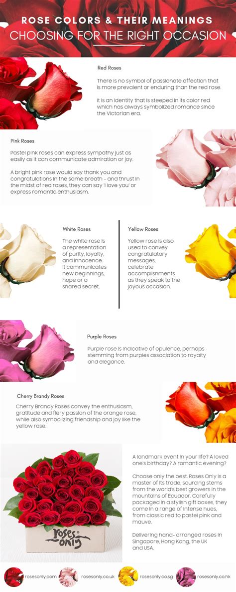 Rose Colors And Their Meanings Choosing The Right Rose Roses Only