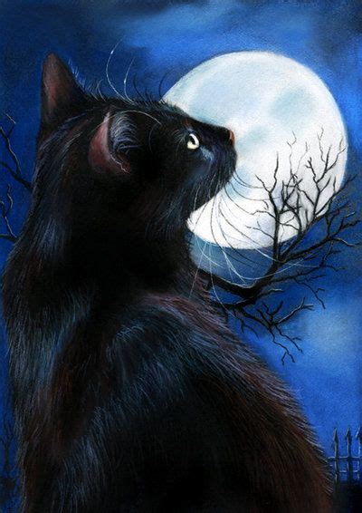 Black Cat Moonstruck Mondsuechtig By Art It Art On Deviantart Cats