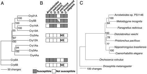 Bacillus Thuringiensis Crystal Proteins That Target Nematodes Pnas