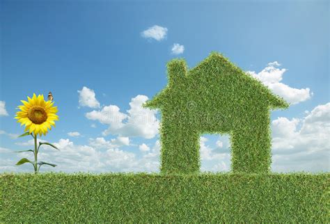 Green Grass House Stock Image Image Of Leaf House Grass 8403907