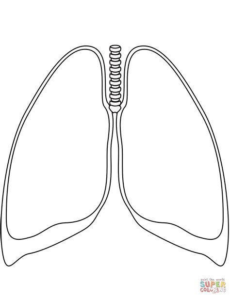 Lungs Coloring Page Free Printable Coloring Pages