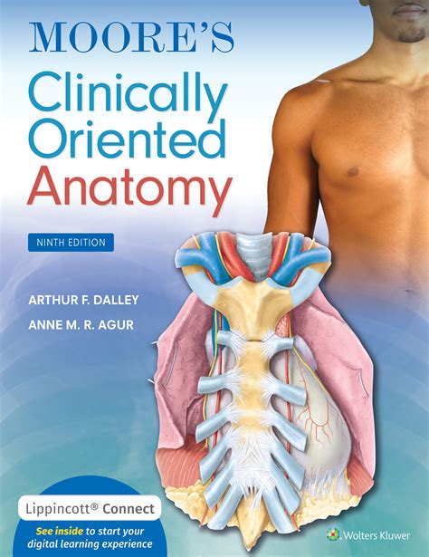 Moores Clinically Oriented Anatomy By Anne Mr Agur