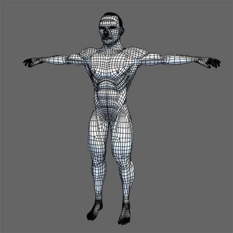 Human Body Man 3d Model
