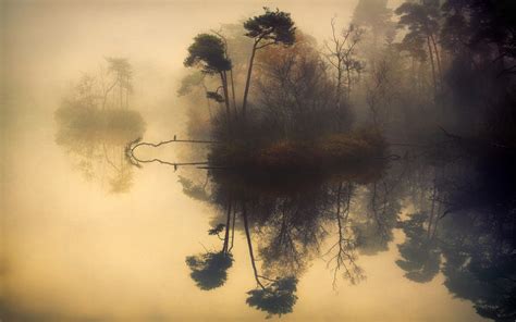 Nature Landscape Mist Lake Trees Water Reflection Shrubs Fall Birds