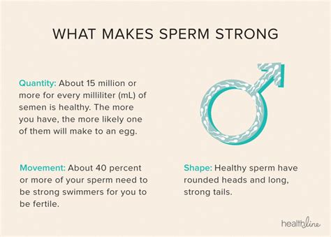 La Checklist 7 Step A Sano Sperma Fertile