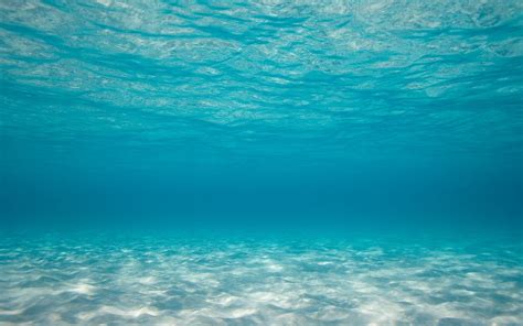 Free Download Hd Underwater Backgrounds 2880x1800 For Your Desktop