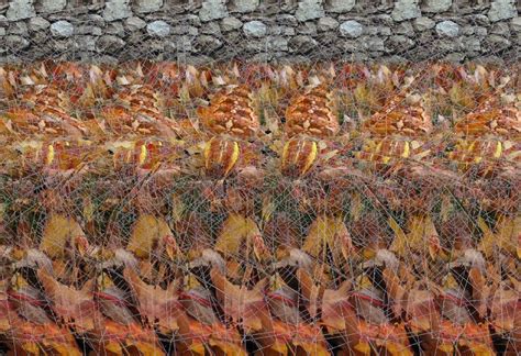 This Is The Best Stereogram I Have Ever Seen Pics Ilusi Gambar