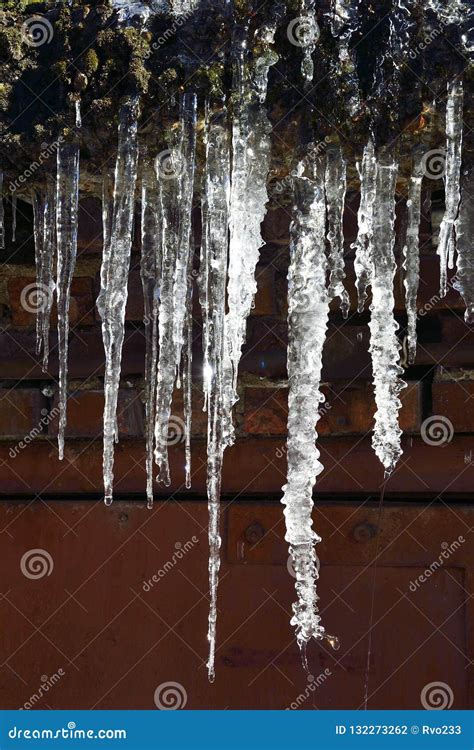 Icicles Hanging On Roof Dripping Close Up Stock Photo Image Of