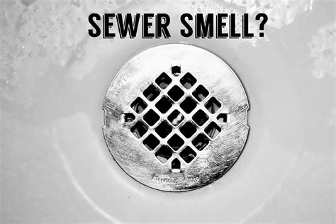 Toilet smells like sewage when flushing. Smell Sewer Gas in Your House? Try This DIY Remedy Before ...