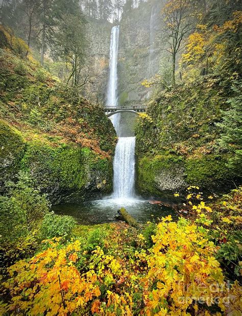 Autumn Magic Of Multnomah Falls Photograph By Carol Groenen Fine Art