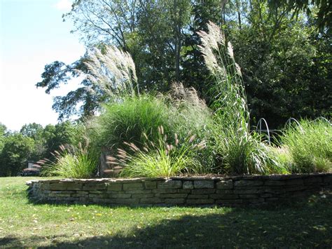 16 Ornamental Grass Garden Ideas Garden Design
