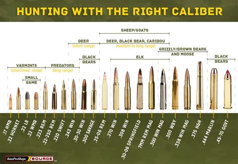 Pistol Bullet Size Chart