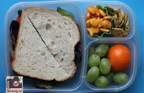 All about packing lunch boxes for teen boys and girls ...