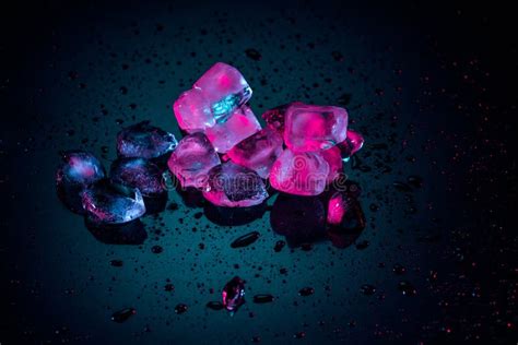 Pink Melting Ice Cubes On Black With Drops Stock Photo Image Of