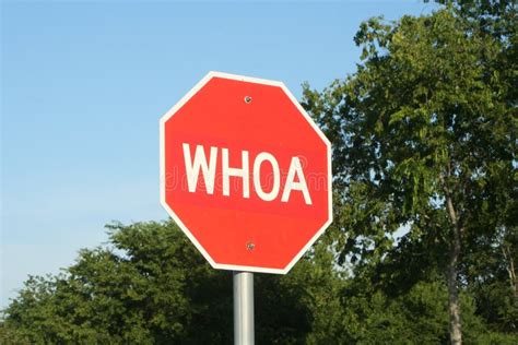 Whoa Stop Sign Stock Photos Free And Royalty Free Stock Photos From