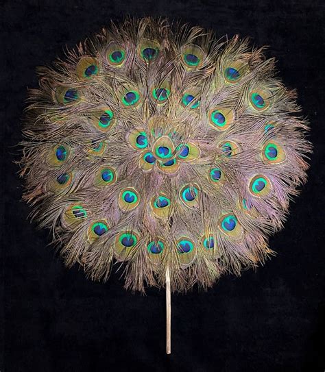 Large Peacock Feather Fan From India Pavo Cristatus Catawiki