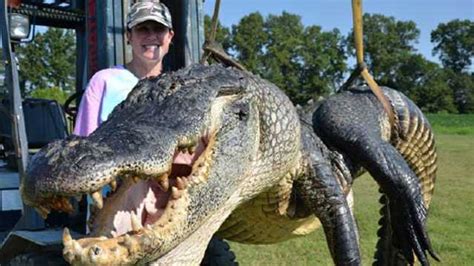 Alligator Hunters Break Mississippi Records