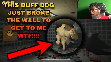 Backrooms Buff Doge Horror Full Version Gameplay Walkthrough Pc