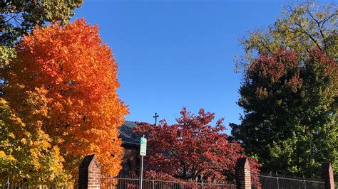 Foliage Update Fall Colors Near Peak In Parts Of Virginia