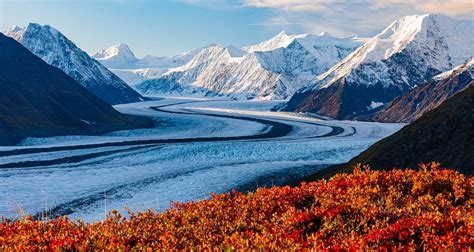 Best Of Alaska Fall Landscapes Glaciers And Moose Photo Tour 2022