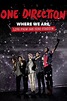 One Direction: Where We Are – The Concert Film (2014) ke stažení - Filmbaze