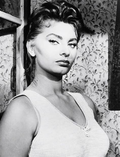 Sophia Loren Sophia Loren Sophia Loren Images Sophia Loren Photo