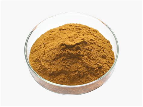 Wholesale Peppermint Extract Powder Supplier