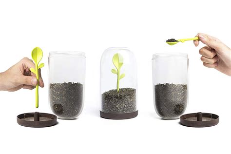 Sprout Jar Coffee Tea And Spices Storage Container Terrarium