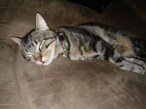 Slevin on Twitter: "@_petitemma_ https://t.co/pxtrhISuym" / Twitter