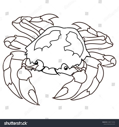 Crab Outline Vector Illustrationisolated On White Stock Vector Royalty