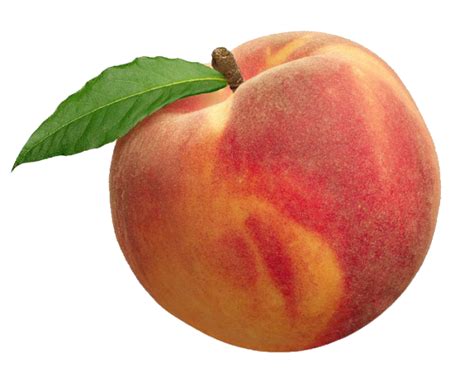 Peach Freetoedit Png Fruit персик Sticker By Thevaleriana