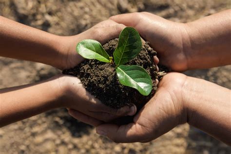 Lur Berri Coopérative Agricole Du Sud Ouest