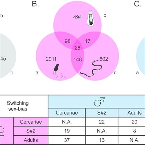 General Clustering Of Sex Biased Gene Expression Depending On Their