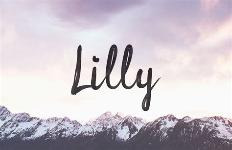 Lilly Free Brush Script Font — Medialoot