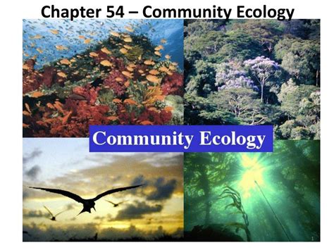 Ppt Chapter 54 Community Ecology Powerpoint Presentation Free