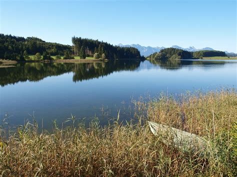 Lake Forggensee Vann Bank Gratis Foto På Pixabay