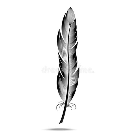 Black And White Large Curved Feather Stock Illustration Illustration
