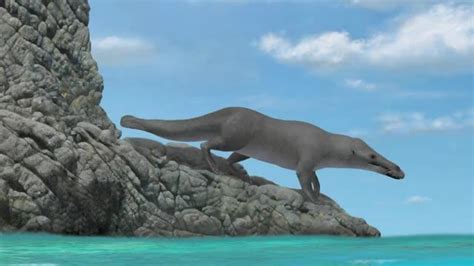Ancient Four Legged Whale With Otter Like Fe Eurekalert