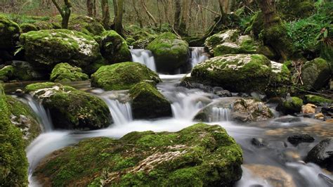 Nature Landscape Waterfall Moss Forest Sunset Trees Wallpaper