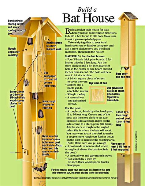 How To Build A Bat House Bat House Build A Bat House Bat House Plans