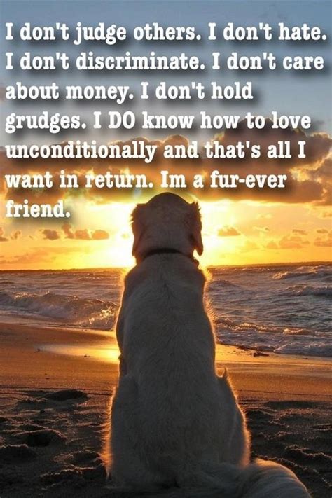 Unconditional Love Dog Love Dog Life Dogs And Puppies