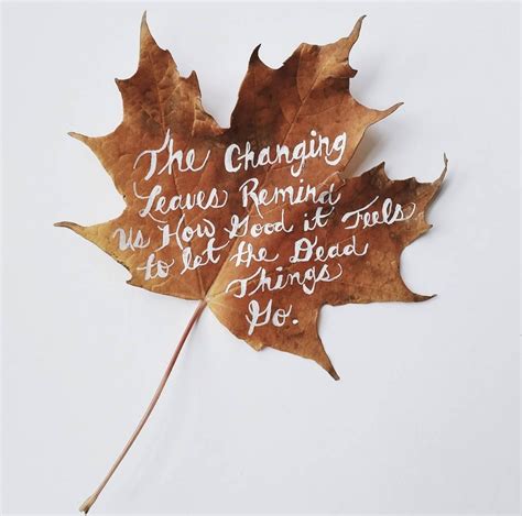 Quote Changing Leaf Quotes Autumn Quotes Changing Leaves